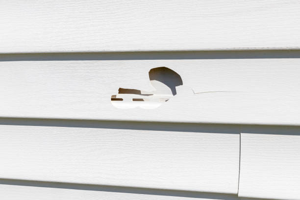 Trusted Osage Beach, MO Siding Experts